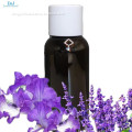 /msite/products/detail/productid/63213819/id/1517793.html